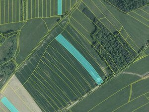 Snímek obrazovky 2026-01-13 v 15.31.31